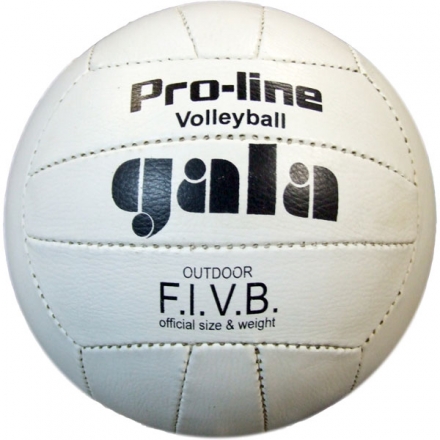 Мяч волейбольный GALA Official Size, прессованная кожа, шитый, фото 1