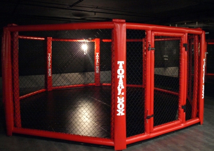 Восьмиугольный ринг MMA TOTALBOX OKT7 напольный d=7 м (без помоста), фото 1
