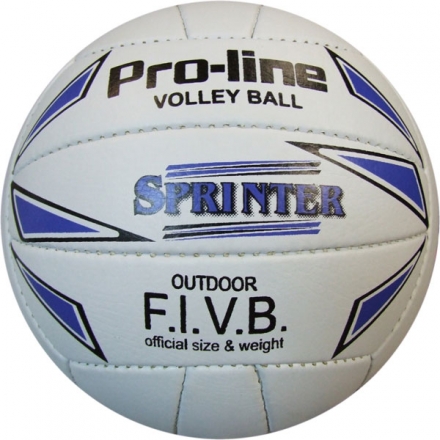 Мяч волейбольный Sprinter Pro - Line шитый бело-синий, фото 1