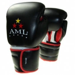 Перчатки боксерские AML Boxing Star