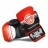 Перчатки боксерские FLAMMA TERMINATOR 2.0