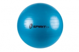 Гимнастический мяч 55 см				, фото 1