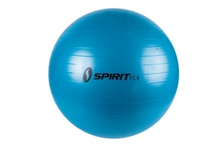 Гимнастический мяч 55 см				, фото 1