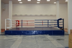 Ринг боксерский на помосте 4х4х0,5м (помост 5х5х0,5м), фото 2