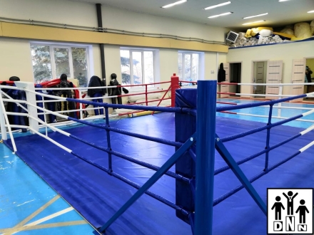 Ринг боксёрский на упорах 4х4м Эконом (боевая зона 3х3м, монтажная площадка 4х4м) DNN, фото 7