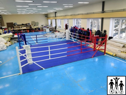 Ринг боксёрский на упорах 4х4м Эконом (боевая зона 3х3м, монтажная площадка 4х4м) DNN, фото 6