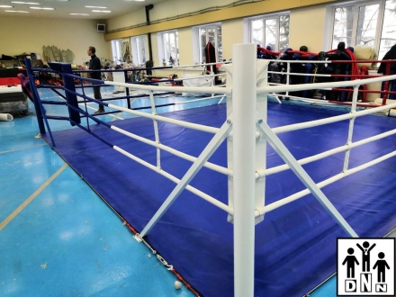 Ринг боксёрский на упорах 4х4м Эконом (боевая зона 3х3м, монтажная площадка 4х4м) DNN, фото 4