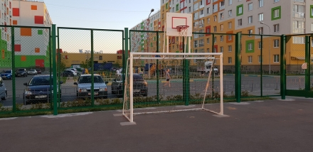 Ворота с баскетбольным щитом Романа 203.10.00, фото 2