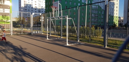 Ворота с баскетбольным щитом Романа 203.10.00, фото 5