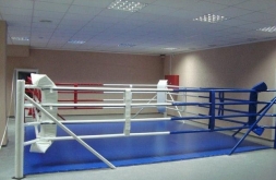 Ринг боксерский рамный 3х3 м (монтажная площадка 4,6х4,6м), фото 1