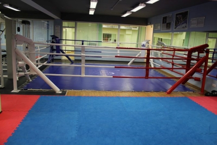 Ринг боксерский рамный 3х3 м (монтажная площадка 4,6х4,6м), фото 3