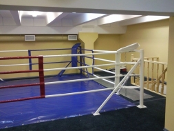 Ринг боксерский рамный 3х3 м (монтажная площадка 4,6х4,6м), фото 2