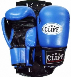 Перчатки бокс F.TECH (кожа)  8 oz синие