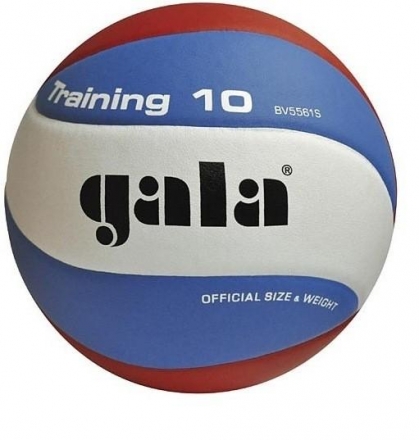 Мяч волейбольный GALA Training 10, фото 1