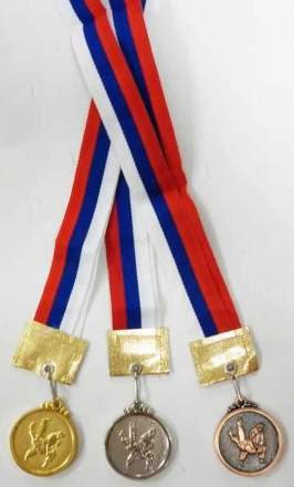 Медаль Борьба d-40 мм серебро, фото 1