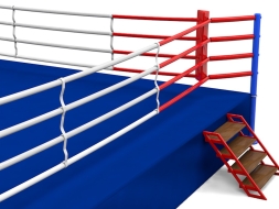 Ринг боксерский на подиуме Glav размер 5х5х1 м, боевая зона 4х4 м 5.300-2, фото 2
