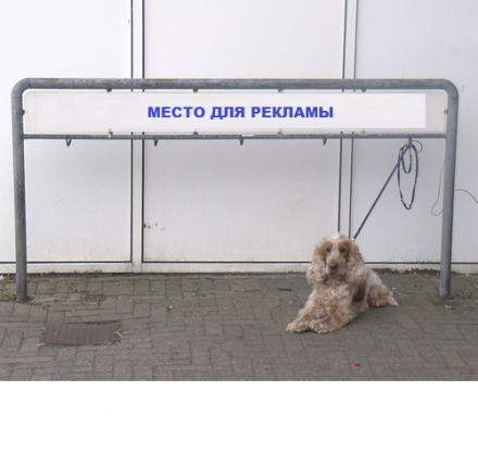 Рекламная парковка для собак ПС-05 , фото 1