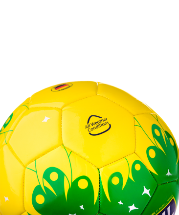 Мяч футбольный Brazil №5, фото 3