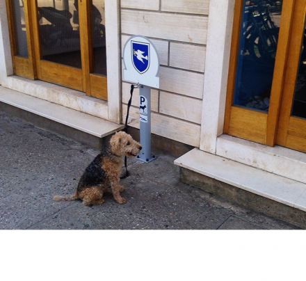 Рекламная парковка для собак Дог, фото 1