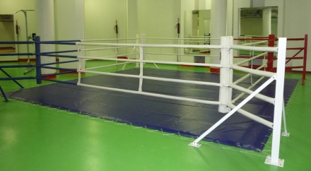 Ринг боксерский напольный Totalbox на упорах размер по канатам 5×5 м РНУ 5, фото 1