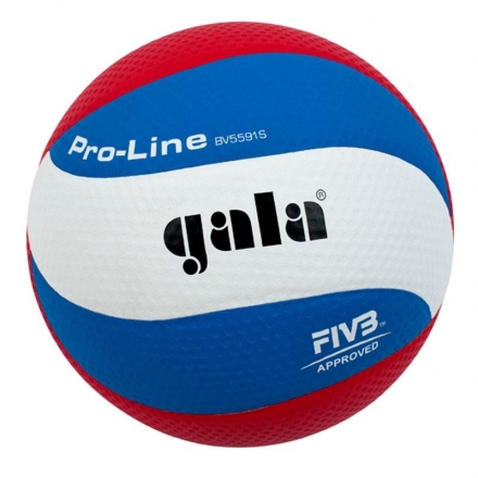 Волейбольный мяч Gala PRO-LINE BV5591S, фото 1