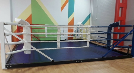 Ринг боксерский напольный Totalbox на балке размер по канатам 5×5 м РНБ 5, фото 1