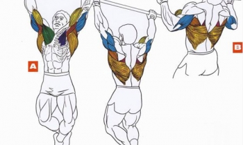 Программа тренировок на турнике на массу