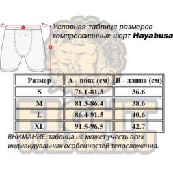 Шорты Hayabusa hayshorts055, фото 3