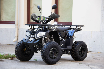 Квадроцикл UNIVERSAL ATV 125 TM Fusion, фото 1