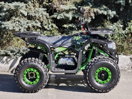 Квадроцикл RMOTO Lion 125AR Lite, фото 6