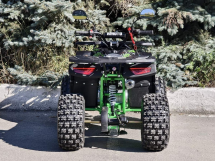 Квадроцикл RMOTO Lion 125AR Lite