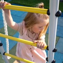 Детский спортивный комплекс для дачи ROMANA Богатырь Плюс - 2 Детский спортивный комплекс для дачи ROMANA Богатырь Плюс - 2