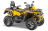 Квадроцикл СТЕЛС ATV 800 Guepard Trophy EPS (ПСМ)