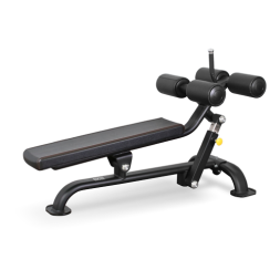 BRONZE GYM BR-1005 Регулируемая скамья для пресса