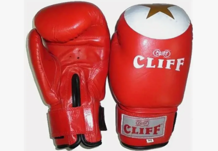 Перчатки бокс TIGER STAR (DX)  6 oz красные, фото 1