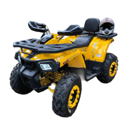 Квадроцикл MOTOLAND 200 Wild Track X, фото 1