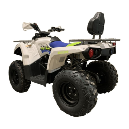 Квадроцикл MOTOLAND Shark 200, фото 6 Квадроцикл MOTOLAND Shark 200, фото 6