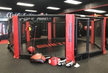 Октагон Foreman для смешанных единоборств ММА без помоста FY-787