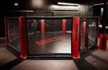 Октагон Foreman для смешанных единоборств ММА без помоста FY-787