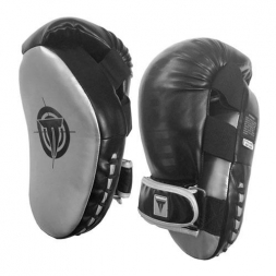 Лапы боксерские THROWDOWN Mitt Master, фото 1