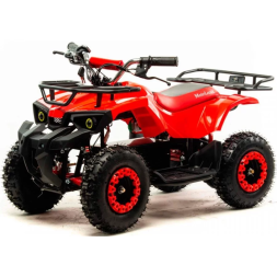 Квадроцикл детский MOTOLAND ATV E009 1000Вт, фото 1