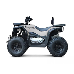 Квадроцикл Progasi Race Jumper 200 Max Power, фото 19