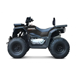 Квадроцикл Progasi Race Jumper 200 Max Power, фото 16