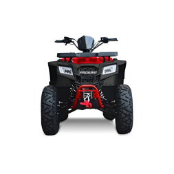 Квадроцикл Progasi Race Jumper 200 Max Power, фото 14