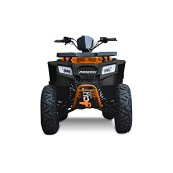 Квадроцикл Progasi Race Jumper 200 Max Power, фото 5
