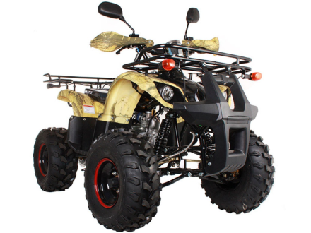 Квадроцикл AVANTIS Hunter 8 Lux, фото 5