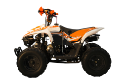 Квадроцикл RACER RC 110 Coyote, фото 7 Квадроцикл RACER RC 110 Coyote, фото 7