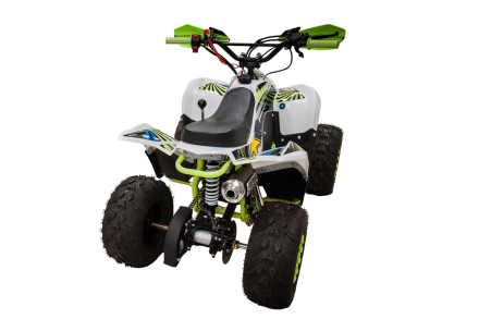 Квадроцикл RACER RC 110 Coyote, фото 2