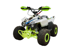 Квадроцикл RACER RC 110 Coyote, фото 1 Квадроцикл RACER RC 110 Coyote, фото 1