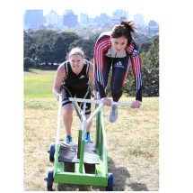 Силовая тележка